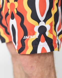 Jacker Pantalons & Shorts | Explorer-Boardshort-Multi